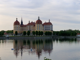 Blick über den Schlossteich zum Moritzburger Schloss, das sich im Wasser spiegelt. Im Vordergrund schwimmen bzw. tauchen zwei Schwäne.